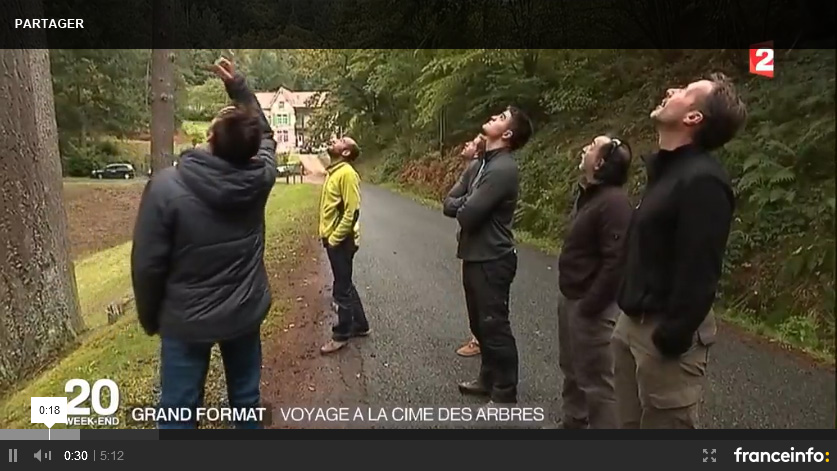 Reportage France 2 : immersion avec les élagueurs-grimpeurs - Les élagueurs